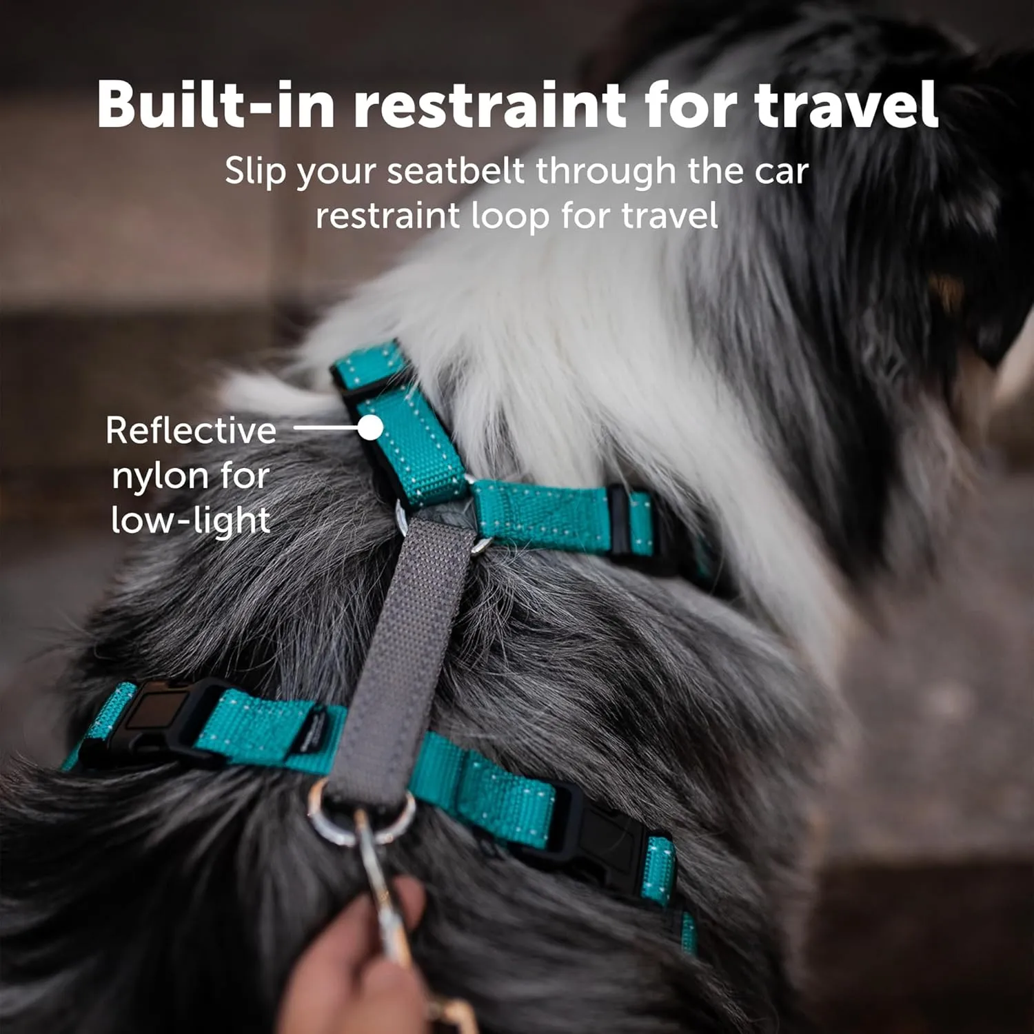 PetSafe 3 in 1 Dog Harness - No Pull Solution for Dogs - Reflective Dog Harness - Front D-Ring Clip Helps Stop Pulling - Comfortable Padded Straps - Top Handle Enhances Control - Black - Small