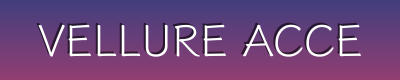 Vellure Accessory Haus | Fashion, Winter, Tech & Travel Accessories for Modern Style